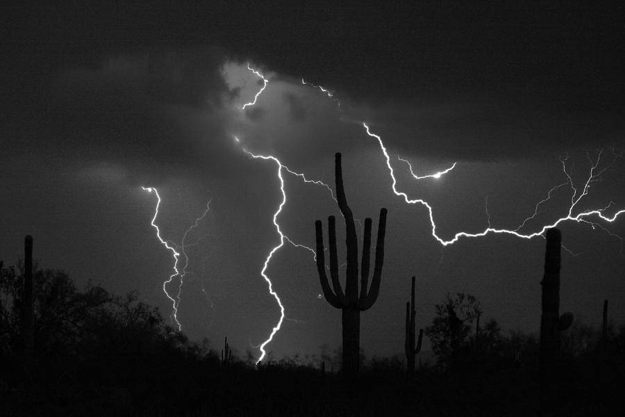 Saguaro Photograph - Lightning Storm Saguaro Fine Art BW Photography by James BO Insogna