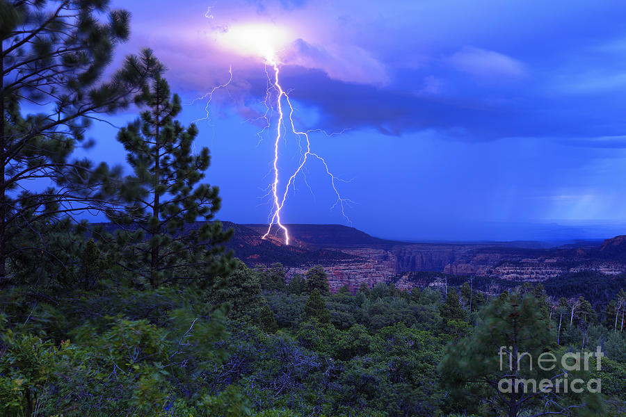 Tree Photograph - Lightning Strike above Arch Canyon - Utah by Scotts Scapes