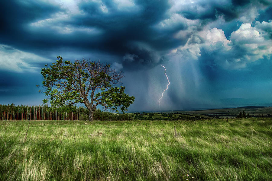 Lightning Strike Photograph by Plamen Petkov