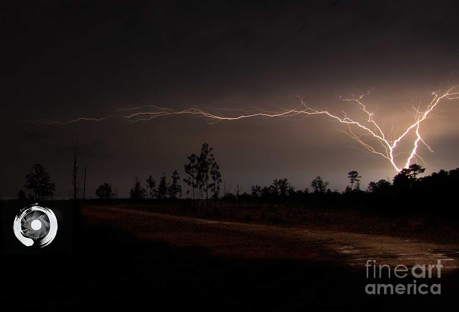 Lightning Tree Photograph by Metaphor Photo