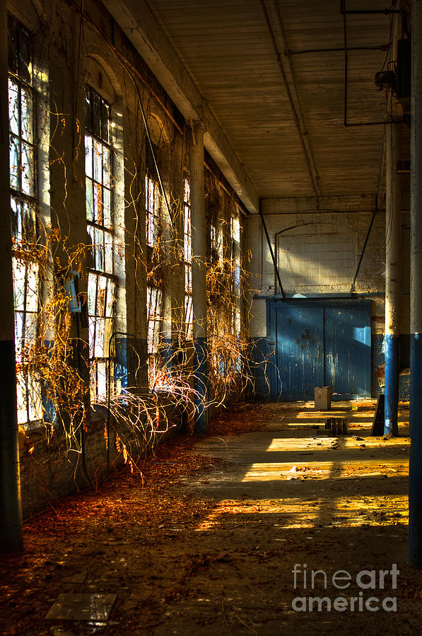 Lightroom Too Mary Leila Cotton Mill 1899 Historic Manufacturing Art Photograph by Reid Callaway