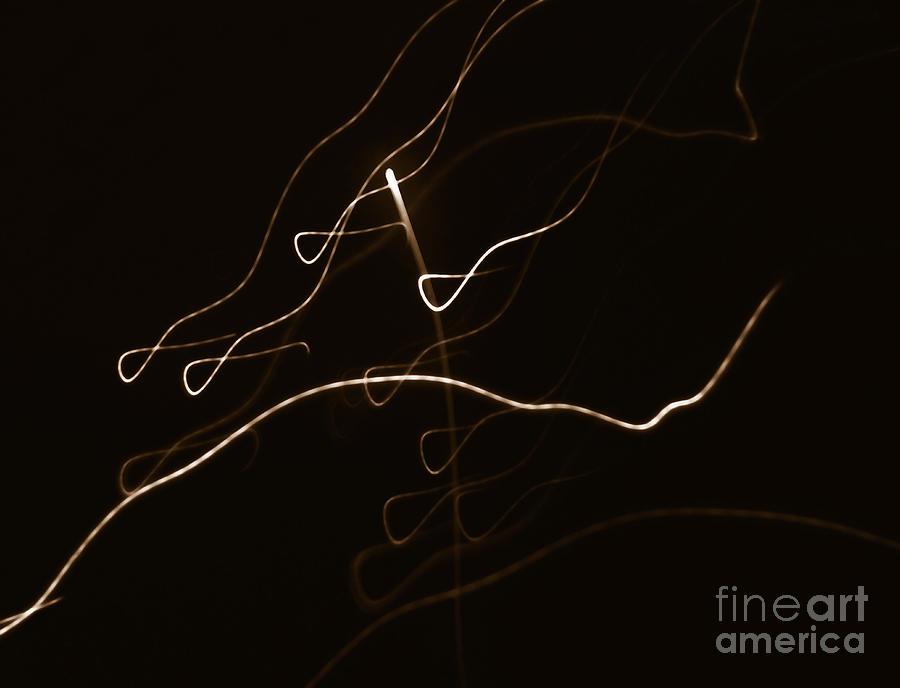 Lights Of Flight Photograph by Jorgo Photography