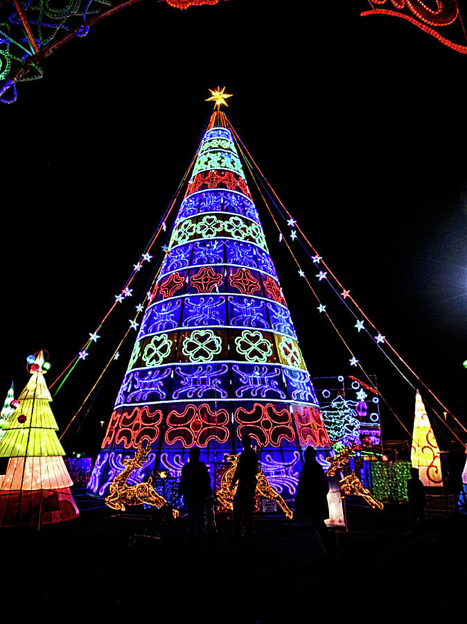 Lights of the World Christmas Tree Photograph by C H Apperson