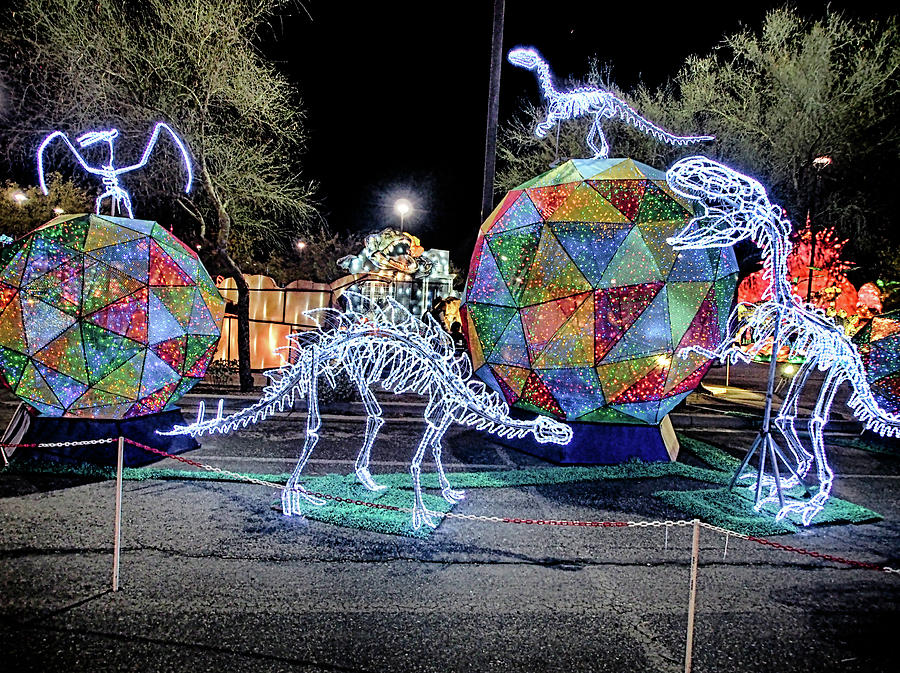 Lights of the World Dinosaur 5 Photograph by C H Apperson