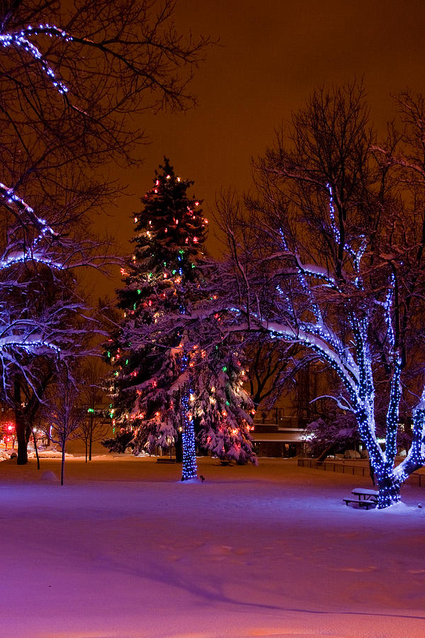 Christmas Photograph - Lightscape by Michael Smith-Sardior