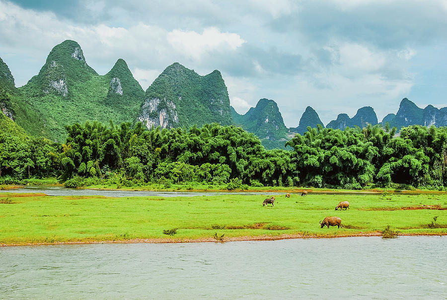 Lijiang river scenery Photograph by Carl Ning
