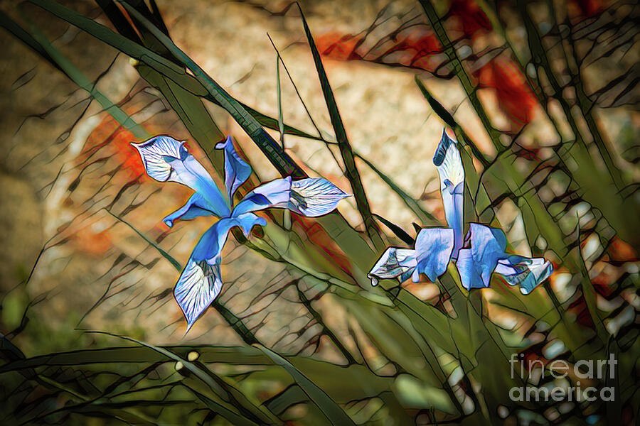 Flower Photograph - Like Blue Birds of Happiness by Jon Burch Photography