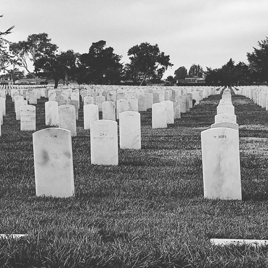 Places Photograph - #likeontv #cemetery #sanbruno by Image Creative Media