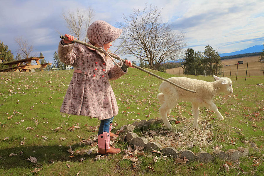 Sheep Photograph - Lil Bo Peep by Kristy Brown