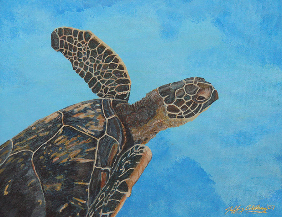 Lil Honu Painting by Jeffrey Oldham - Fine Art America