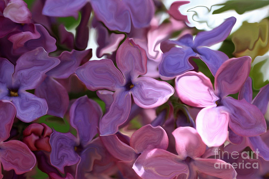 Lilac Abstract Photograph by Rick Rauzi