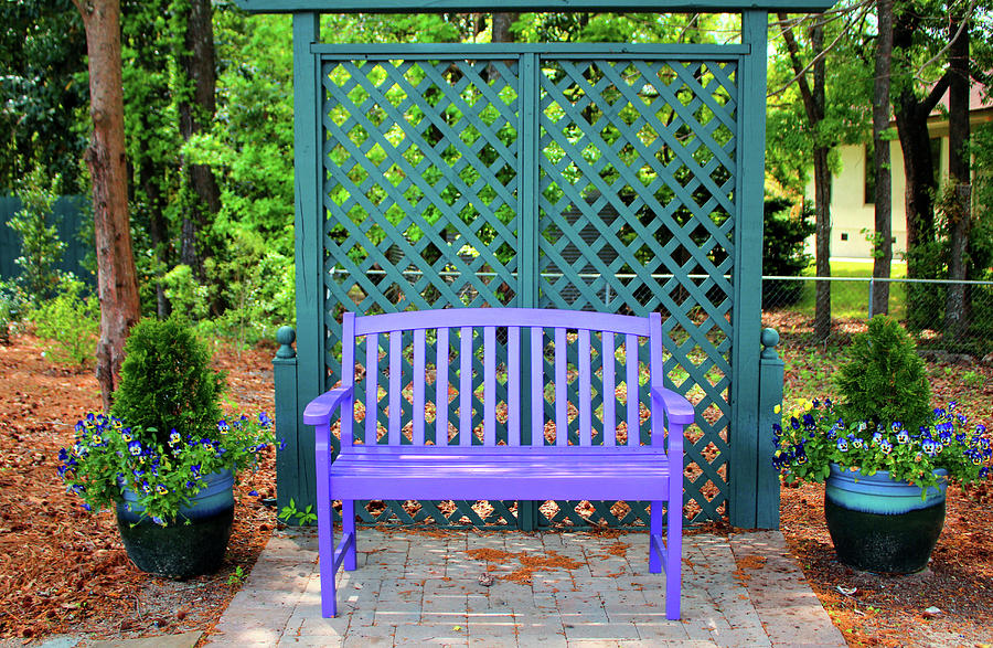 Lilac And Teal Garden Photograph by Cynthia Guinn
