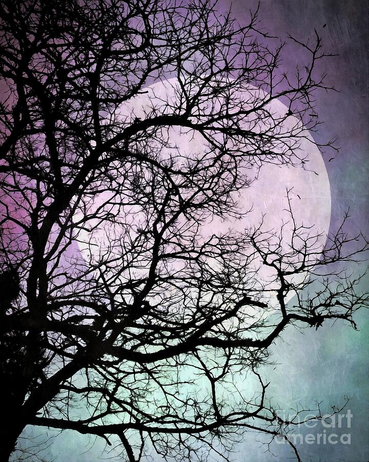 Lilac Blue Moon Silhouette Photograph by Patricia Strand