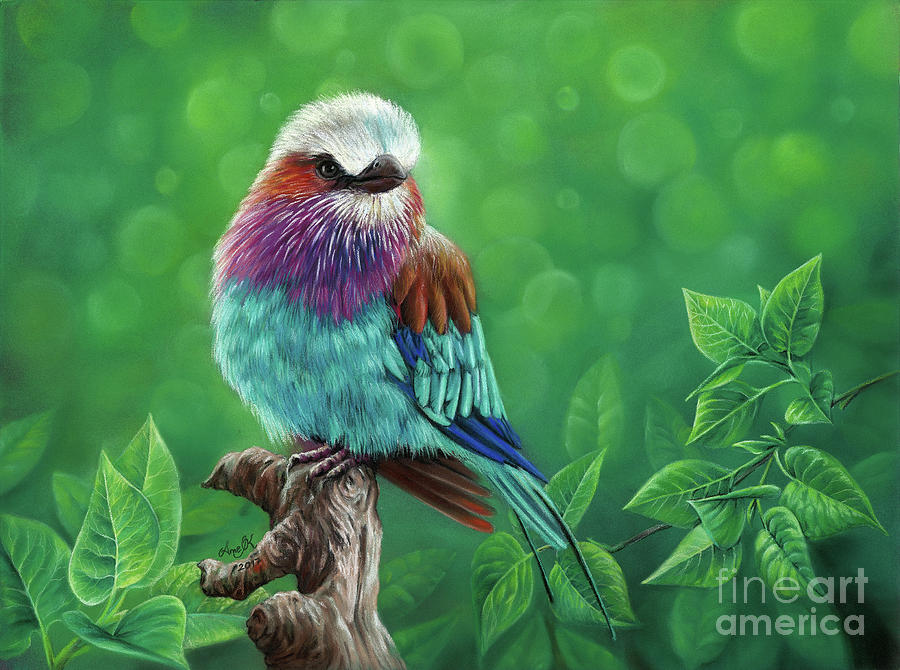 Lilac-breasted Roller Pastel - Lilac-breasted roller by Anne Koivumaki - Fine Art Anne