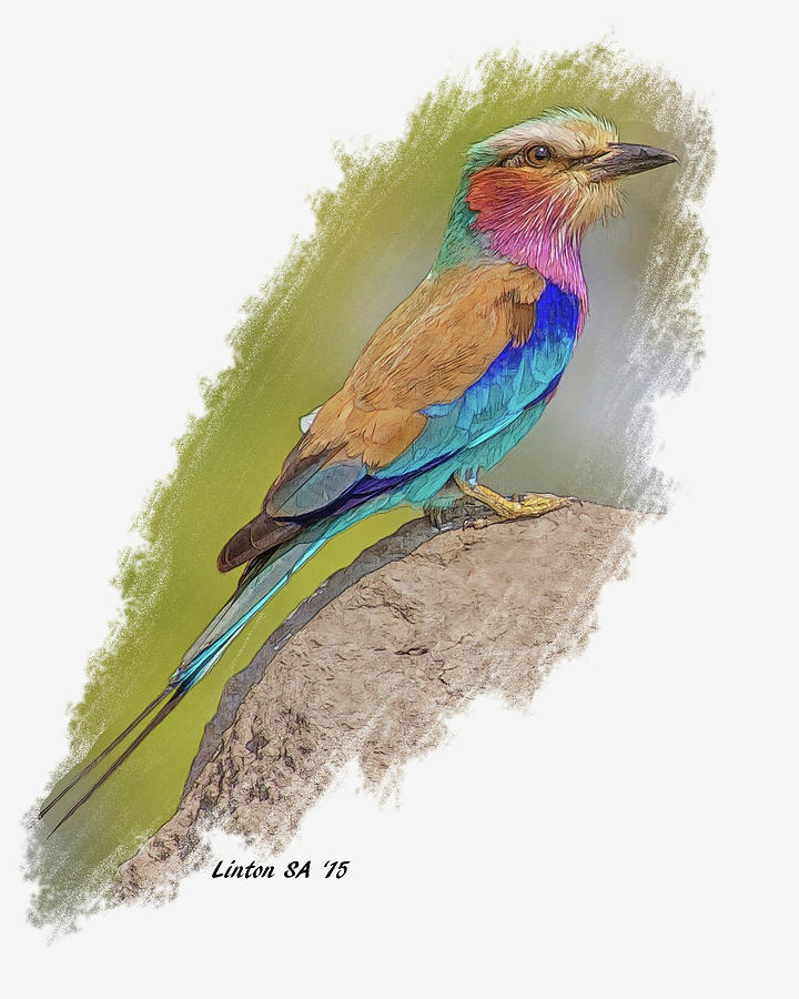Lilac-breasted Roller Digital Art by Larry Linton