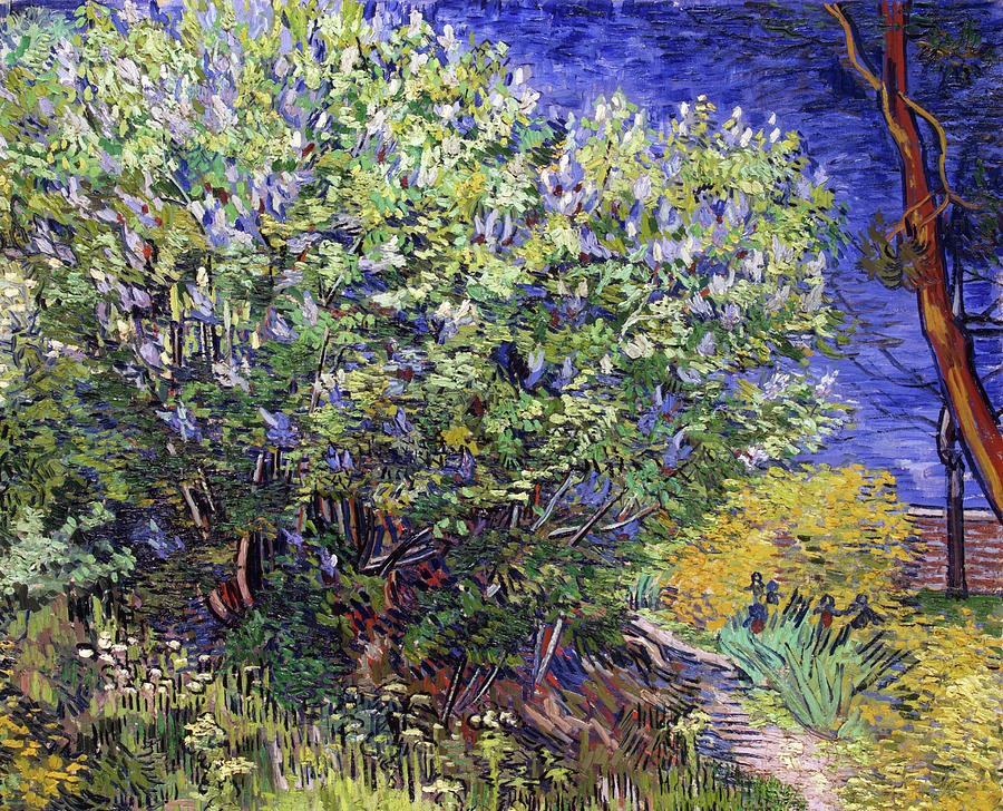 Lilac Bush Painting by Vincent van Gogh