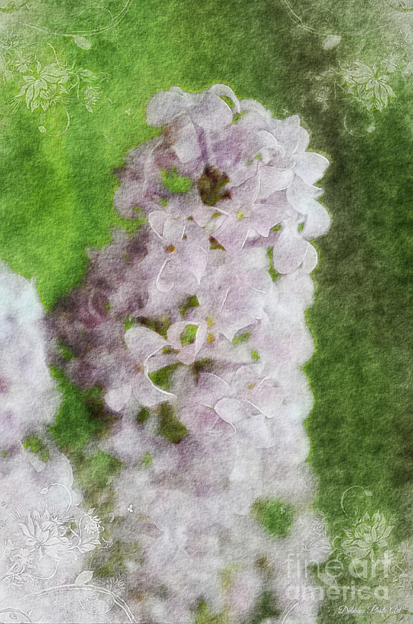 Lilac Dreams - Digital watercolor Photograph by Debbie Portwood