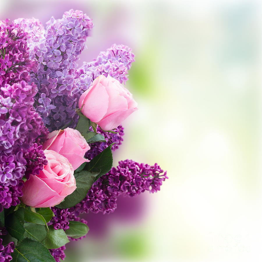 Lilac flowers with Roses Photograph by Anastasy Yarmolovich