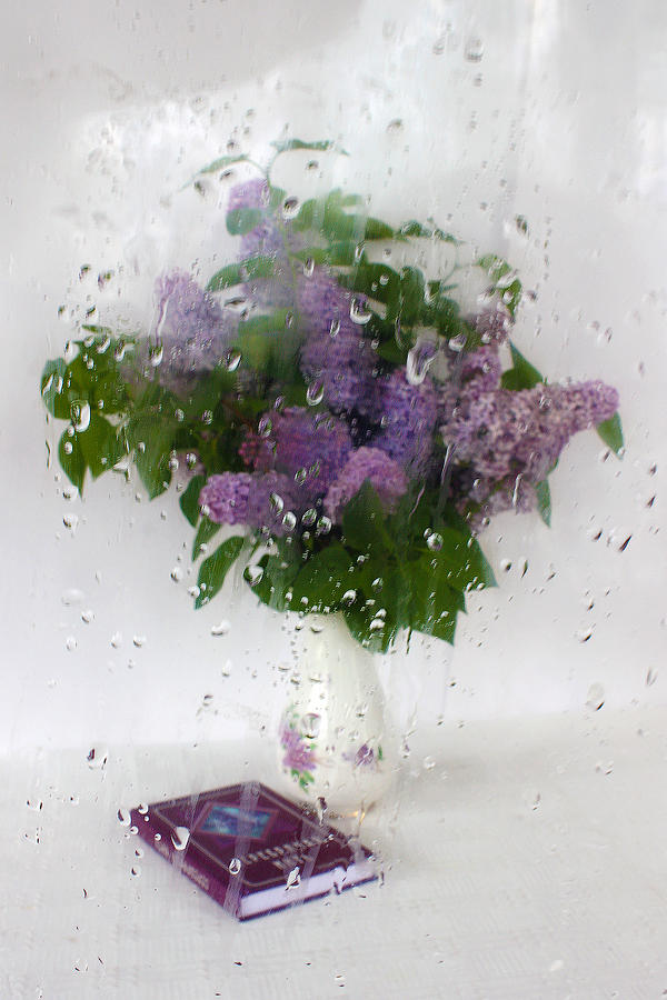 Lilac Poems. Behind the Rainy Window Photograph by Victor Kovchin