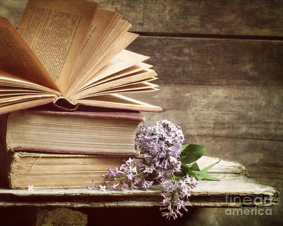 Book Photograph - Lilacs And Lit by Alison Sherrow I AgedPage Fine