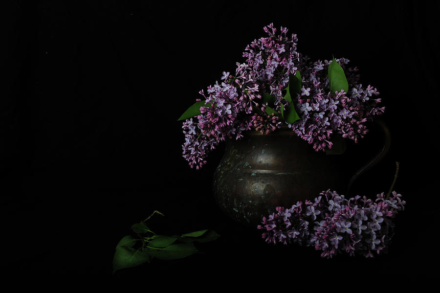 Spring Photograph - Lilacs and Patina by Randi Grace Nilsberg