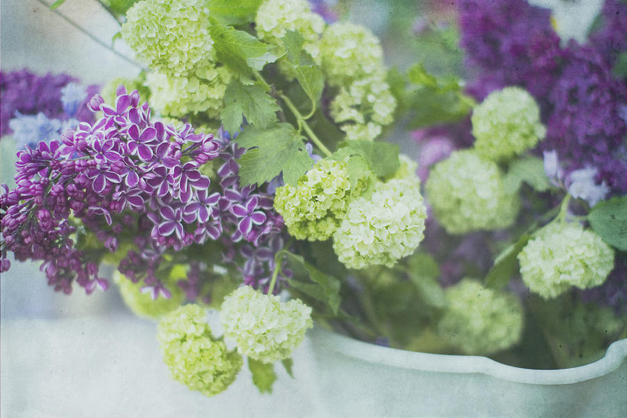 Flower Photograph - Lilacs and Snowballs by Rebecca Cozart