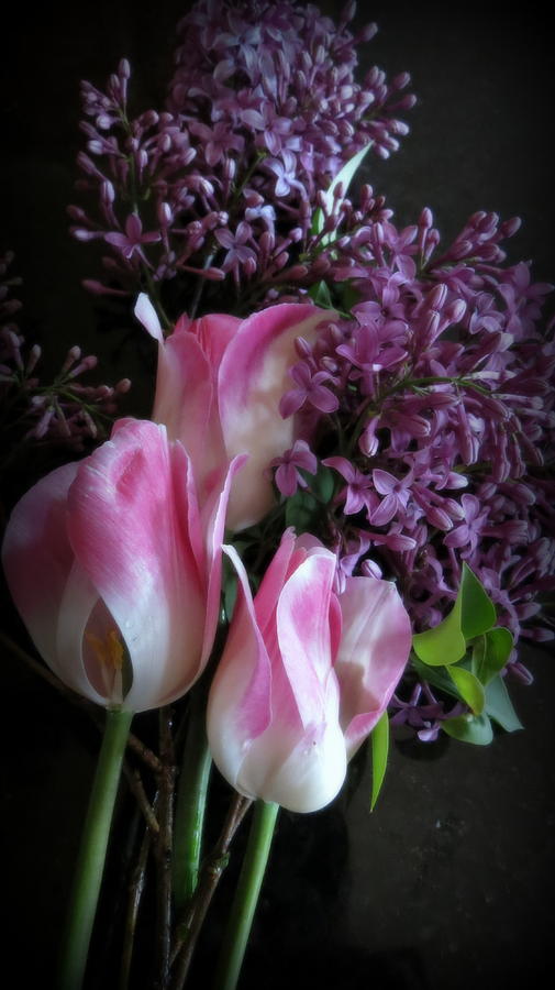Lilacs  And Tulips Photograph by Kay Novy