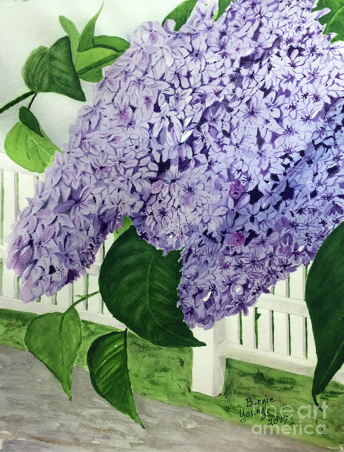 Lilacs Painting by Bonnie Young