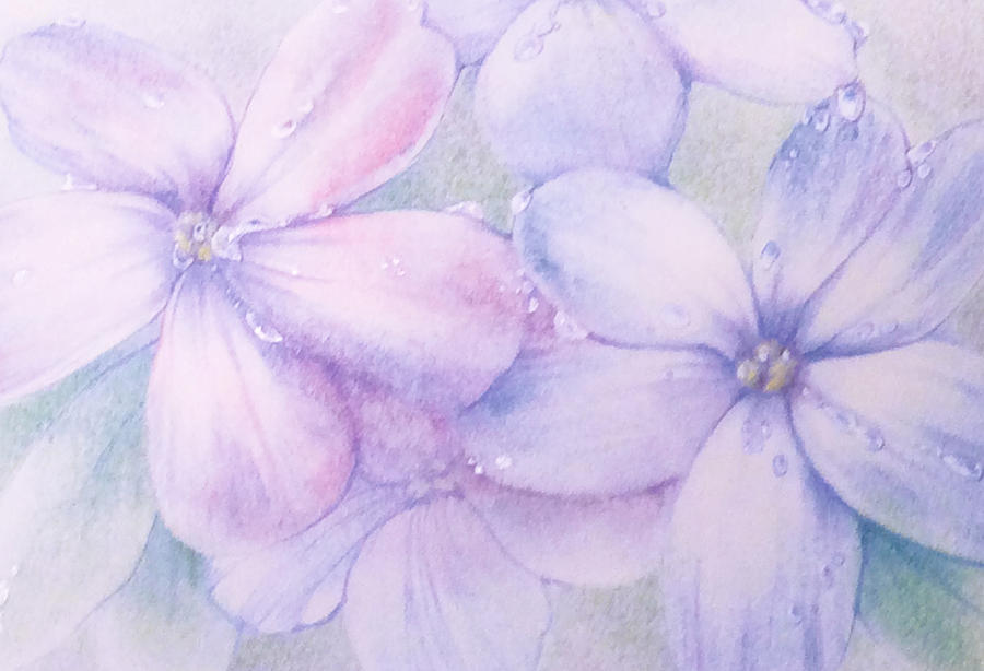 Lilacs Painting by Catherine Manzione - Pixels