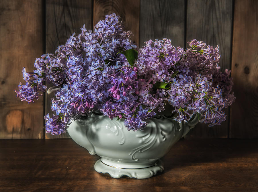 Lilacs in white china kettle Photograph by Jaroslaw Blaminsky