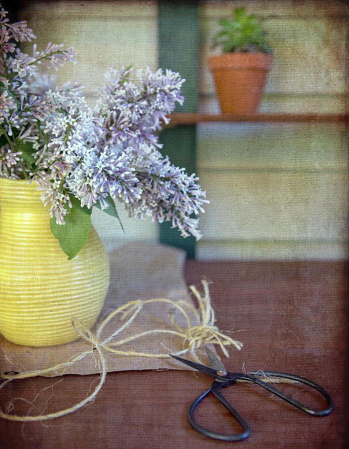 Lilacs In Yellow Vase Photograph