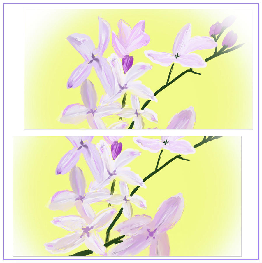 Lilacs up Close Digital Art by Dick Bourgault