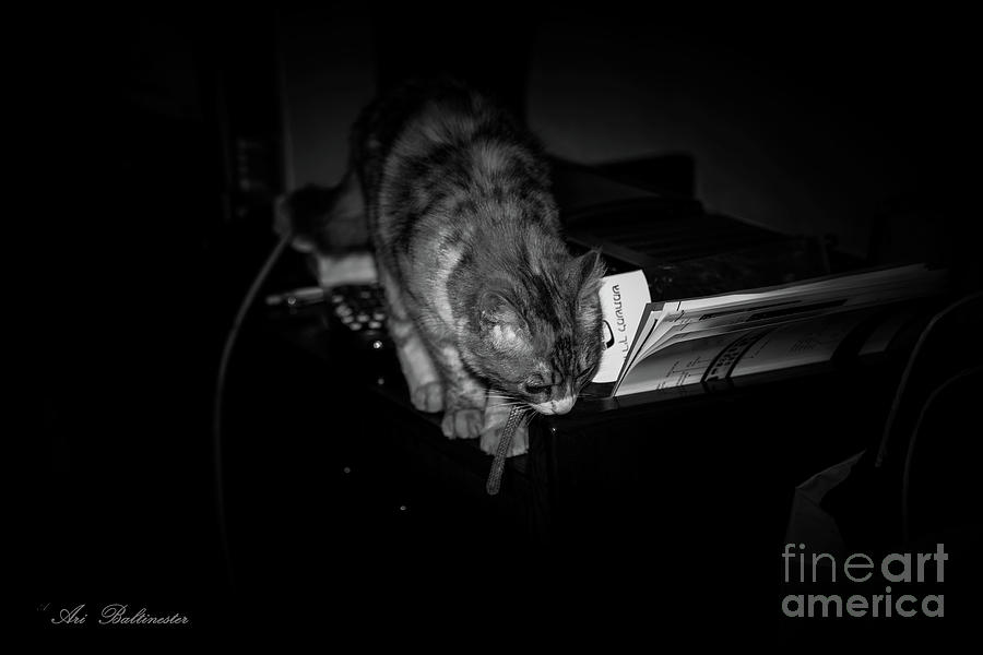 Black And White Photograph - Lili at night activity by Arik Baltinester