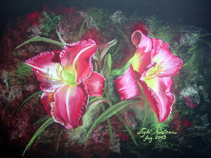 Lilies #2 Drawing