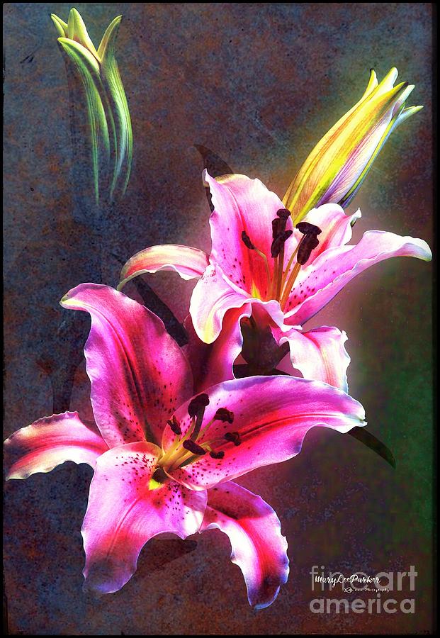 Lilies At Night Mixed Media by MaryLee Parker