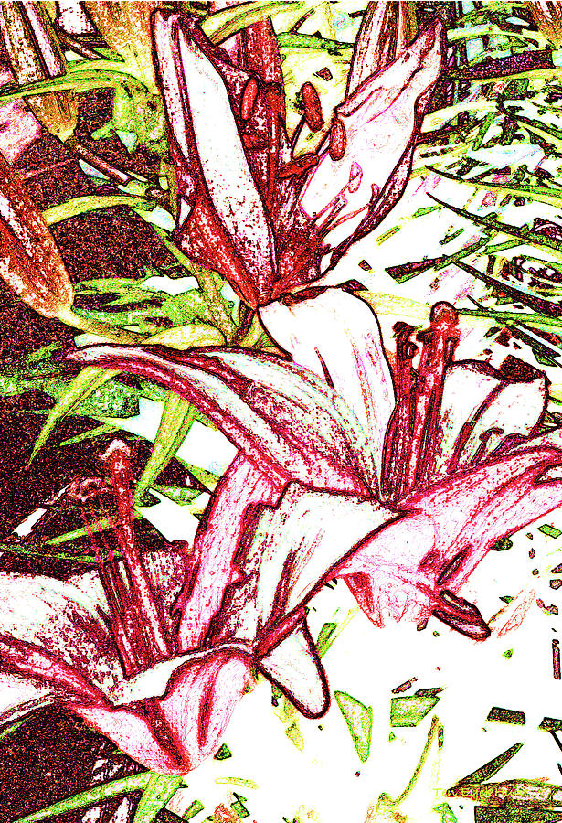 Lilies by Gretchen Ten Eyck Hunt Lilies by Gretchen Ten Eyck Hunt