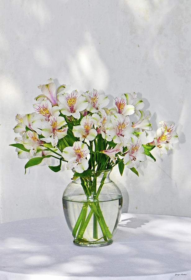 Lilies In A Vase 001 Photograph by George Bostian