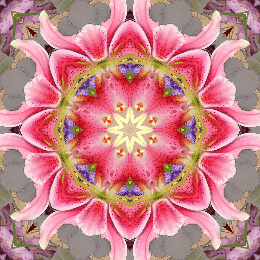 Lilies Digital Art by Kathleen Stephens