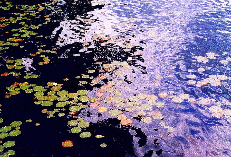 Lilies On The Water PD  Photograph by Lyle Crump