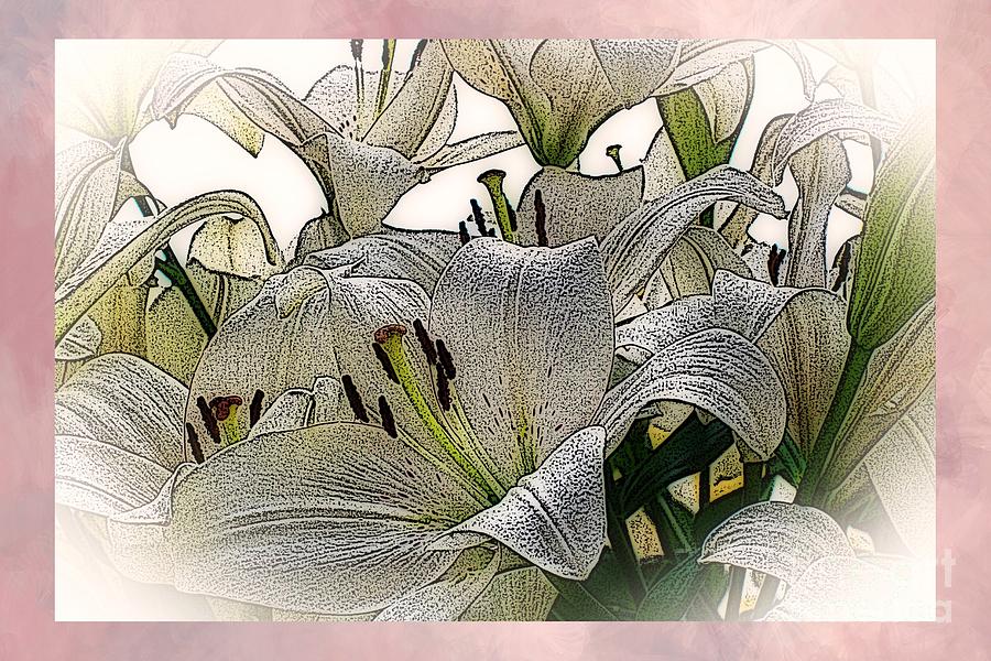 Lilies / pink border Digital Art by Elizabeth McTaggart