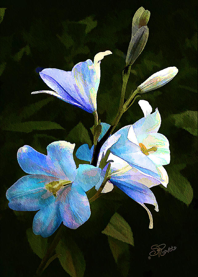 Lilies Painting by Suni Roveto