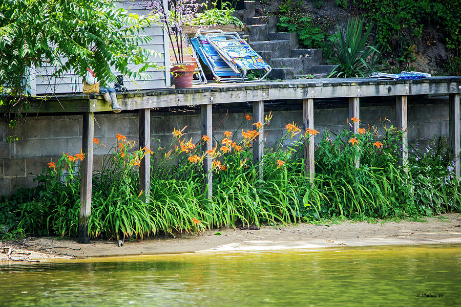Lilies Under The Dock Photograph by Brian Wallace