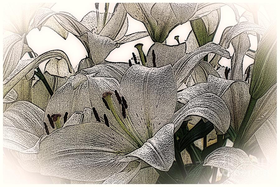 Lilies / white border Digital Art by Elizabeth McTaggart
