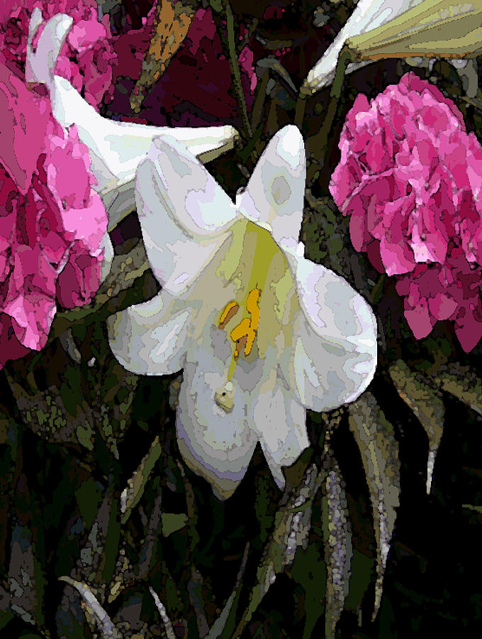 lillie pastel painting by Garland Oldham lillie pastel painting by Garland Oldham