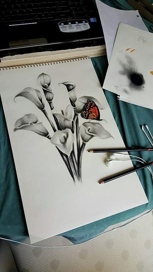 Flower Drawing - Lillies by Christopher Kyle