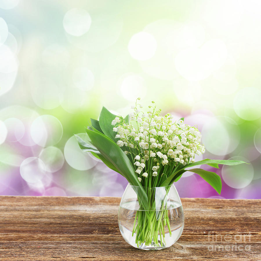 Lilly Of Valley Posy In Glass Photograph