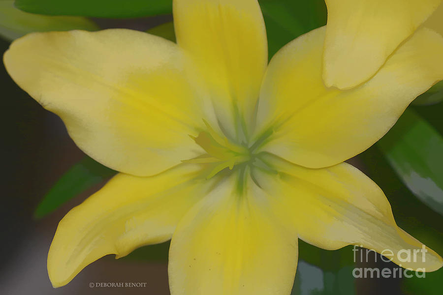 Nature Photograph - Lilly With Artistic Beauty by Deborah Benoit