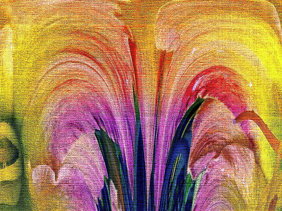Lily Abstract - Burgundy Lily Softened Photograph