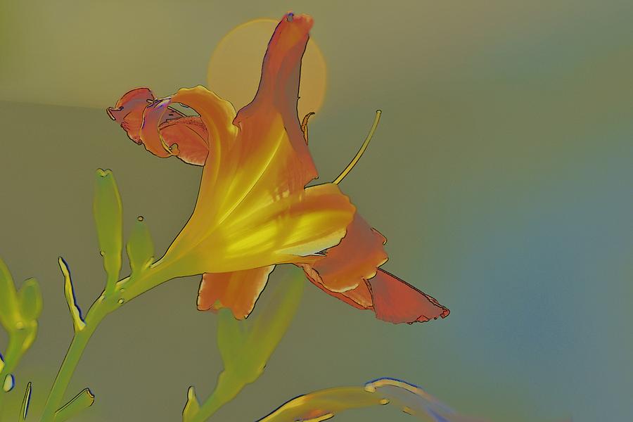 Lily Abstract Medium Background Medium Toned Flower Digital Art by Linda Brody