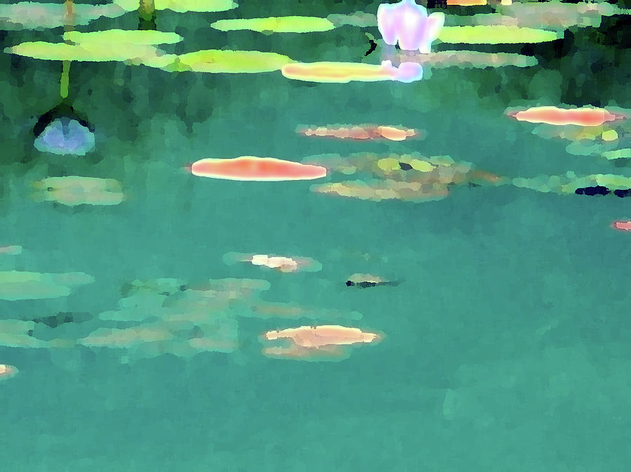 Lily Blossoms by Tolere Lily Blossoms by Tolere
